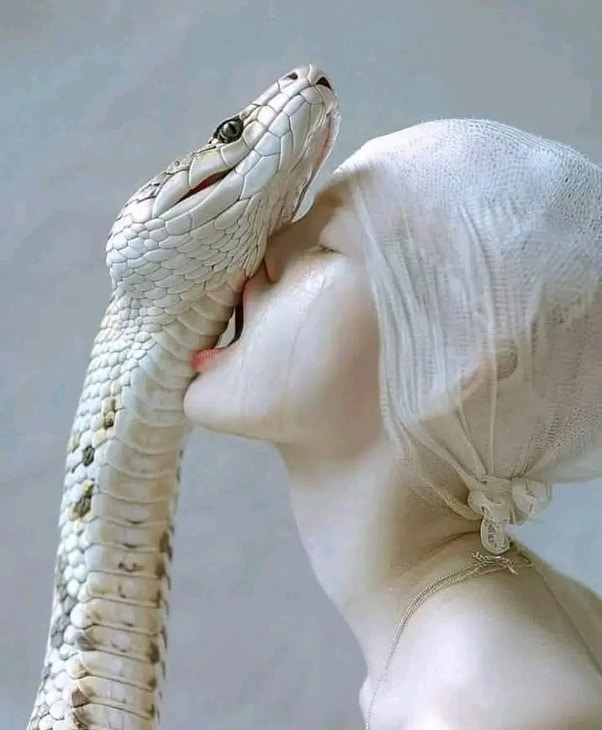 Lo que nadie te dijo sobre las relaciones